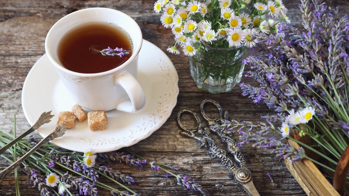 Herbal Teas for Sleep: Three Blends You Can Make Tonight